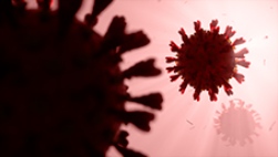 News related to the corona virus. Image of the coronavirus. Mostphotos
