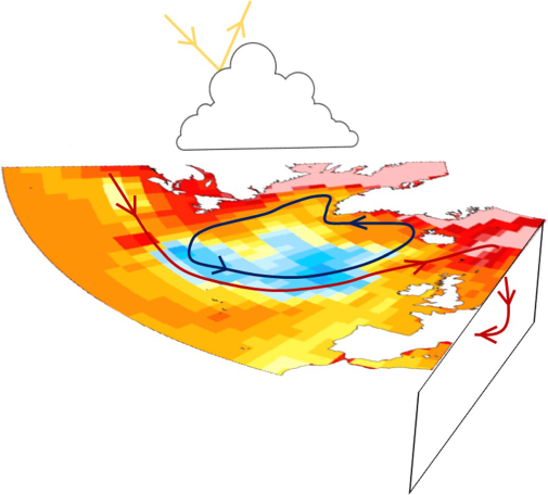 Schematic of warm hole drivers, from Keil et al., 2020